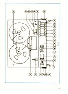 Dama-11.jpg